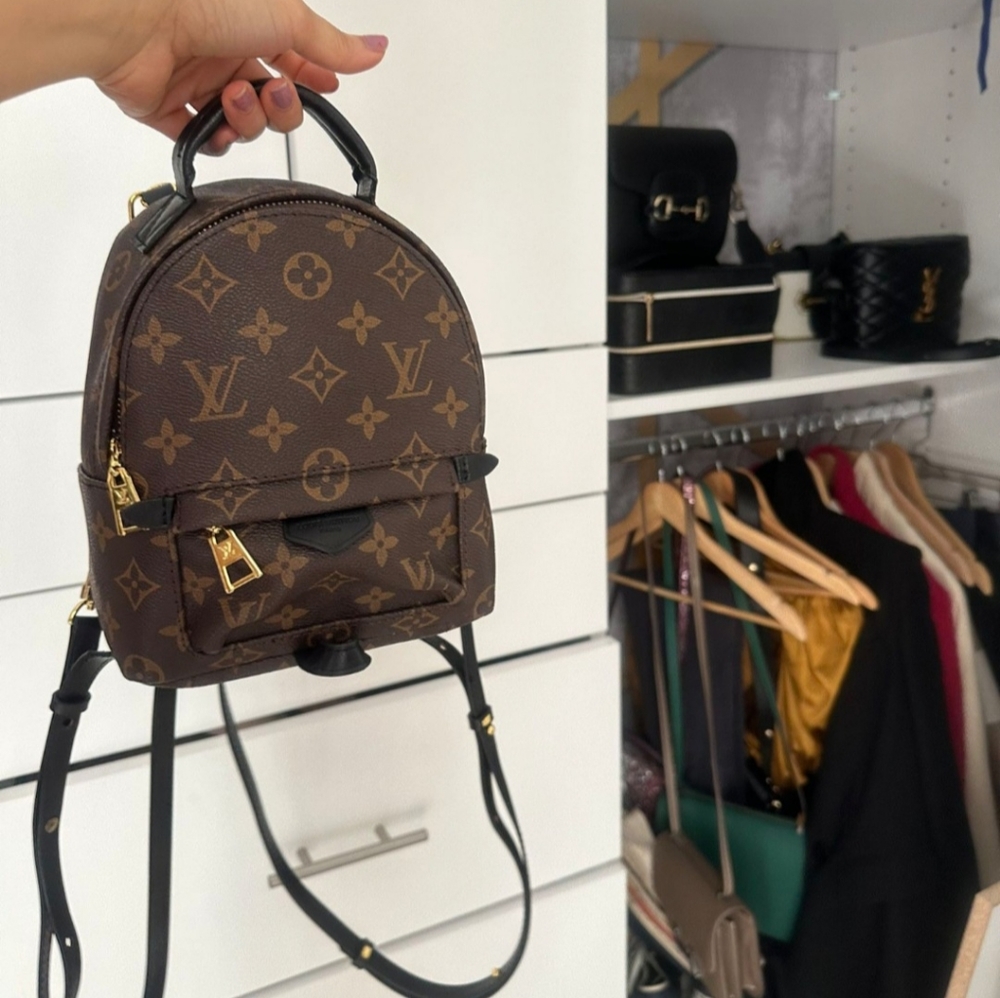 Louis vuitton palm Spring Mini